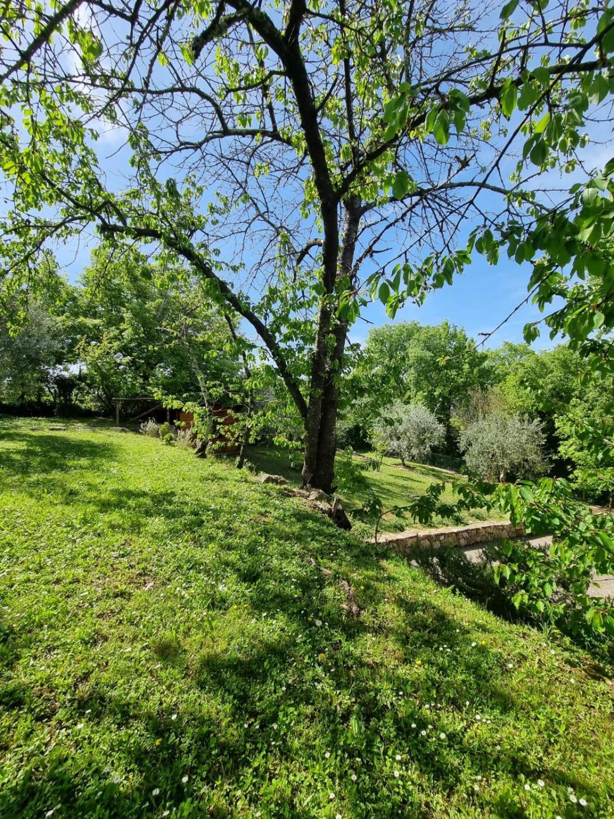 San Sano Dimora Nel Chianti旅馆 外观 照片